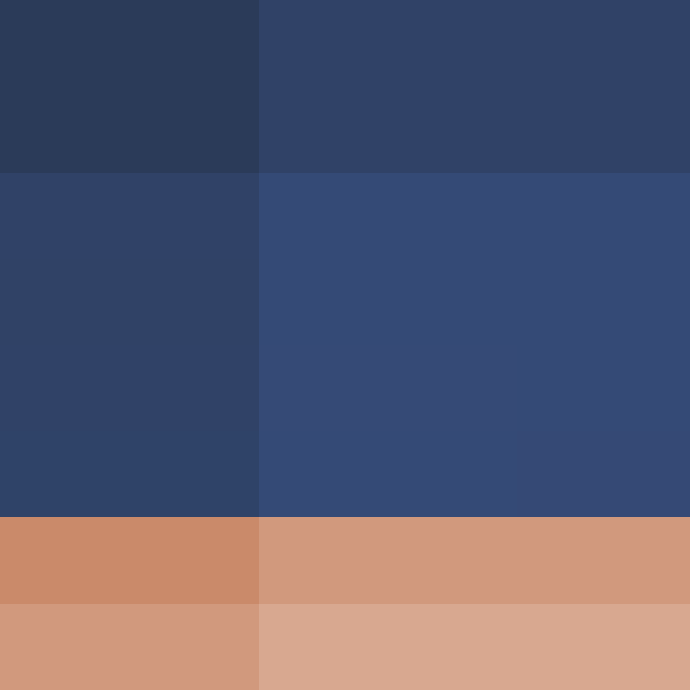 _Flanty_'s skin