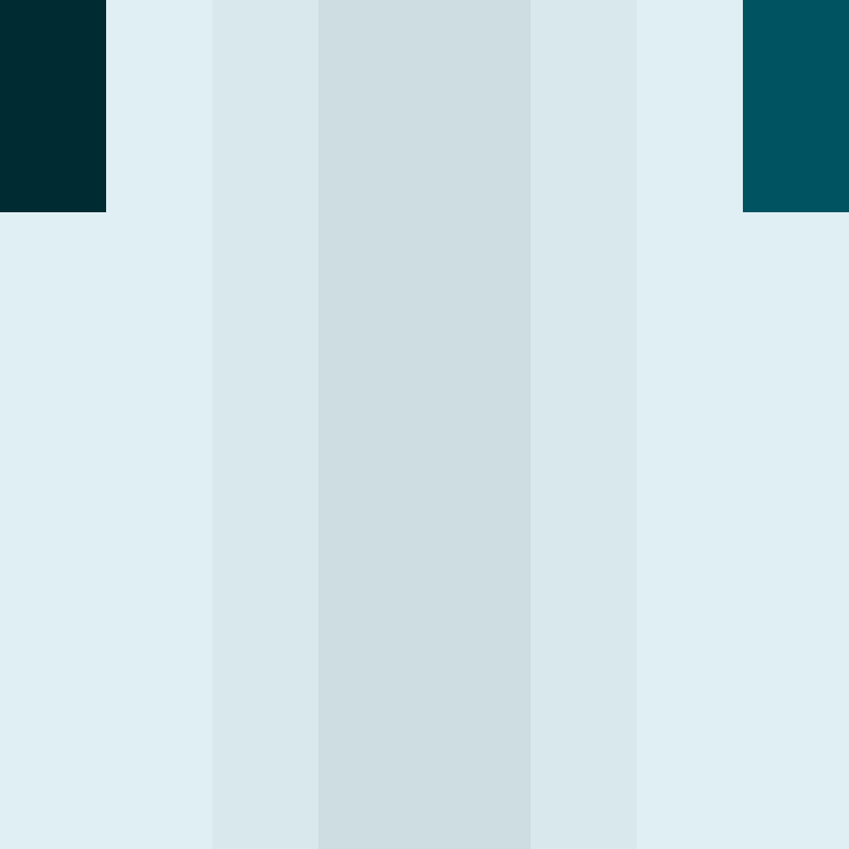 WebNX's skin