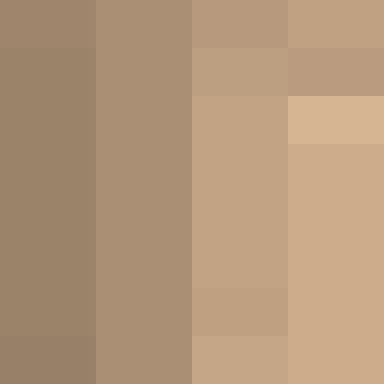 acin5's skin