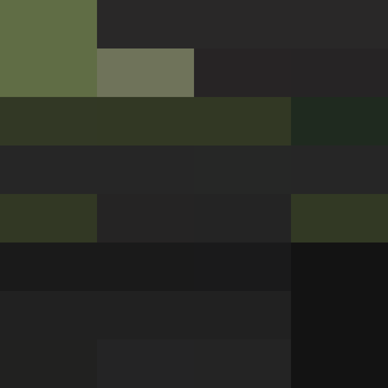 Zoleeey's skin