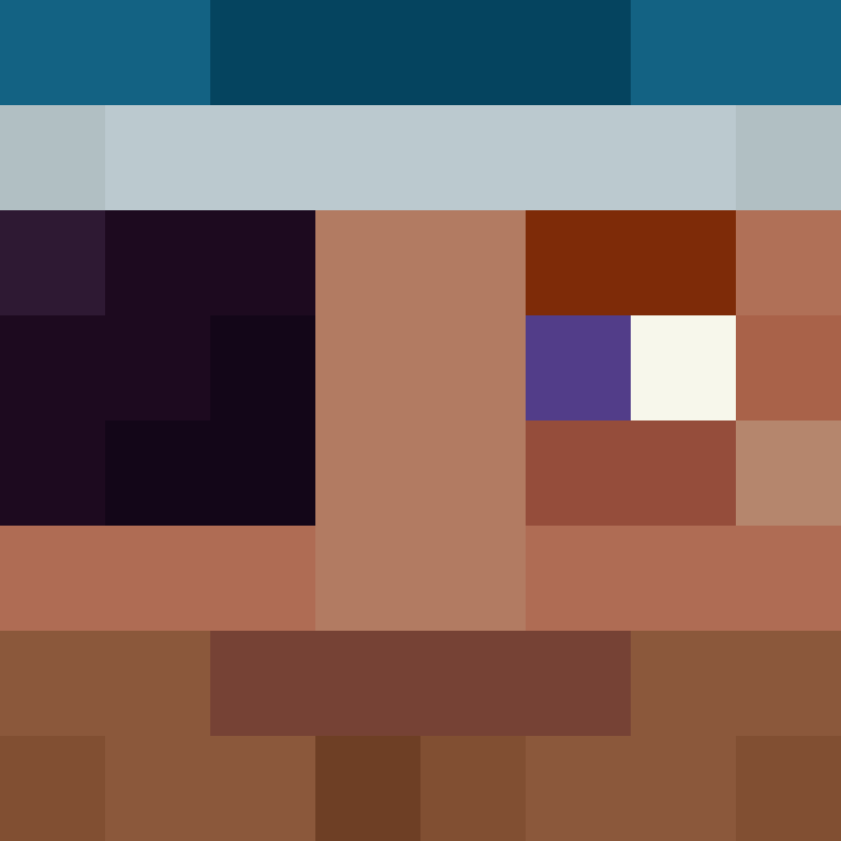 8aca680b22461340's skin