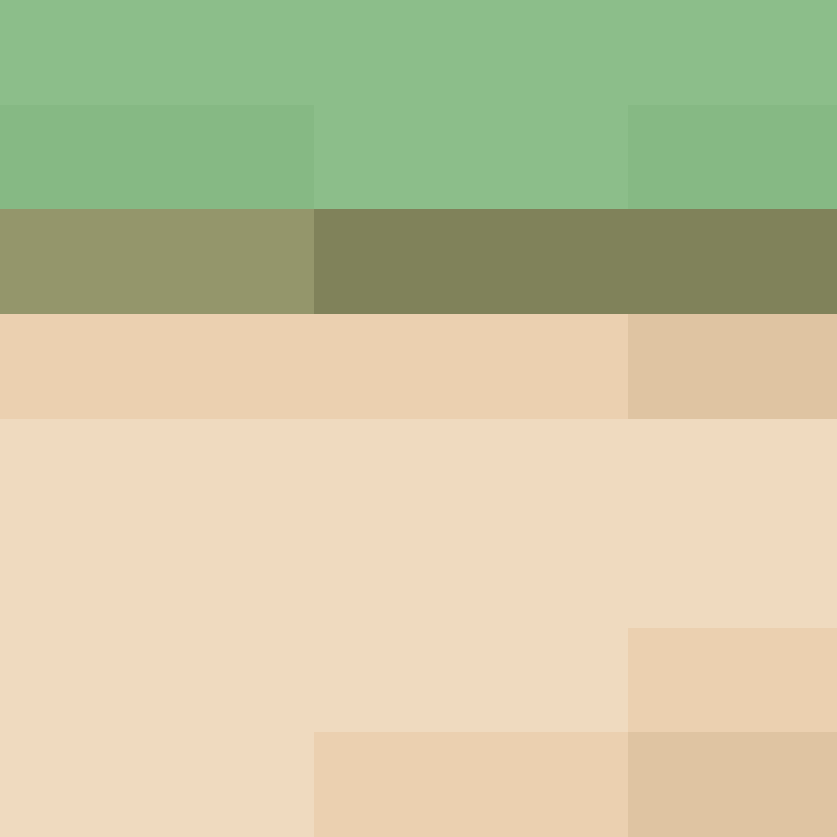 AutoSkin's skin
