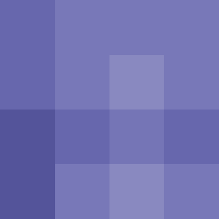 CeilingBird's skin