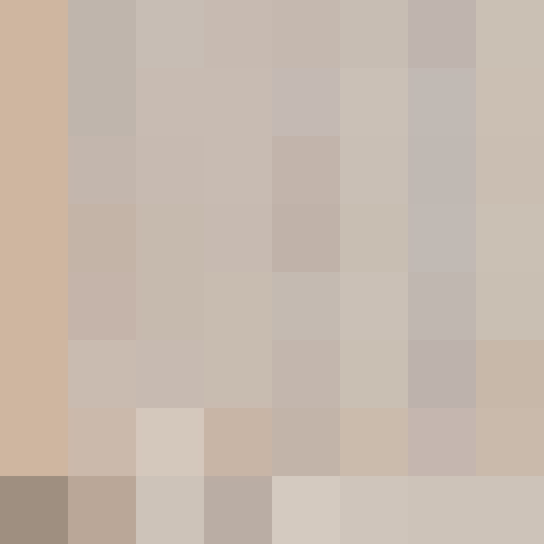 Cartizoll's skin