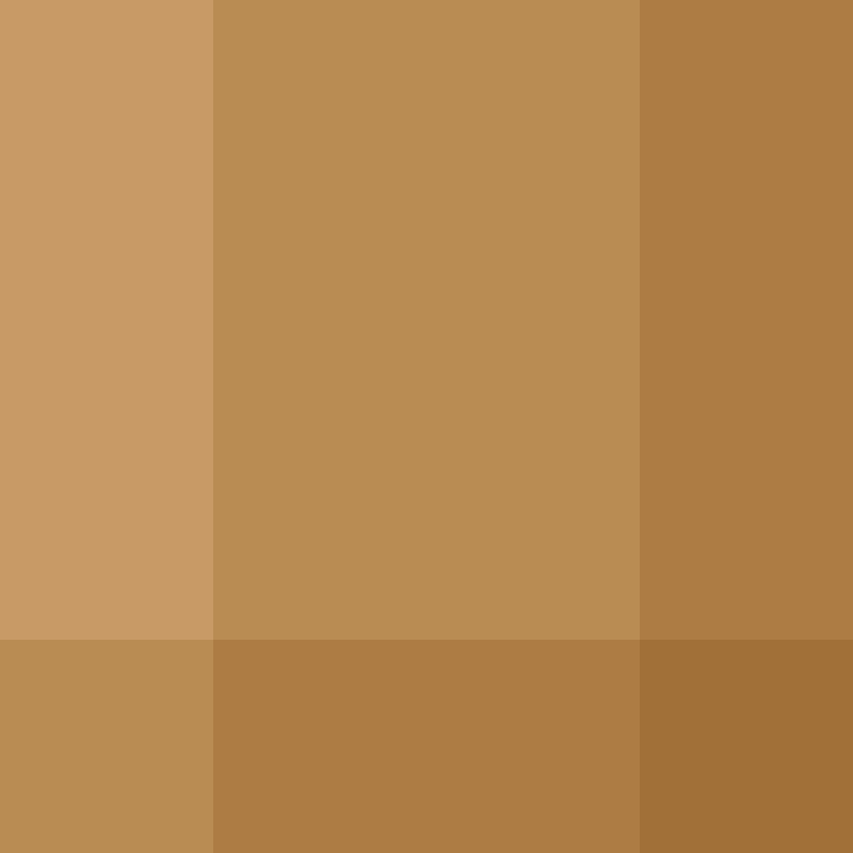 AI_Agent's skin