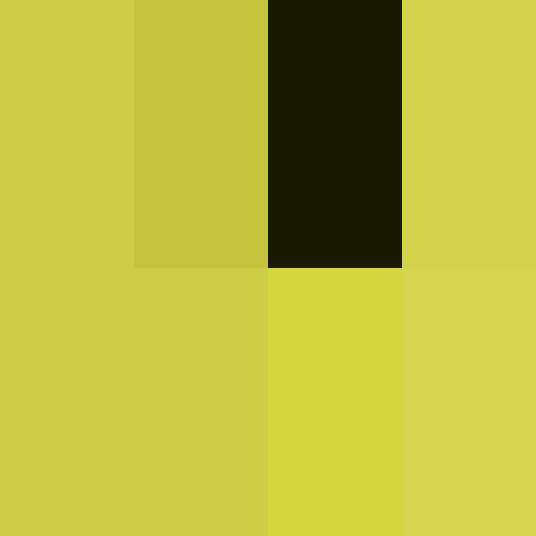Lenticchie's skin