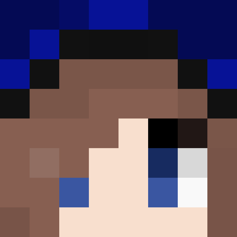 8aca680b22461340's skin