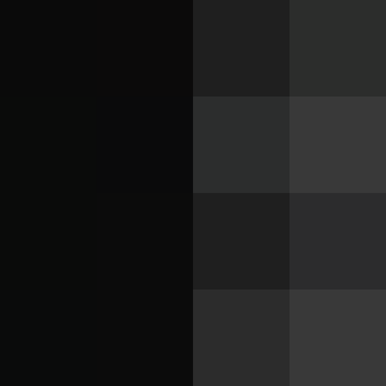 AutoSkin's skin