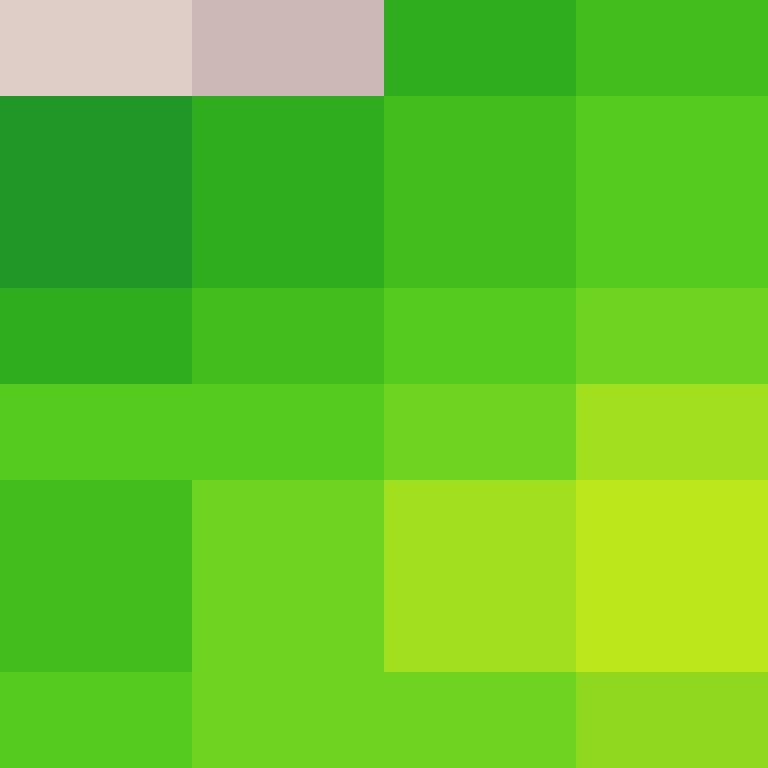 dragloner's skin
