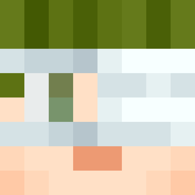 DonaldTrump42's skin