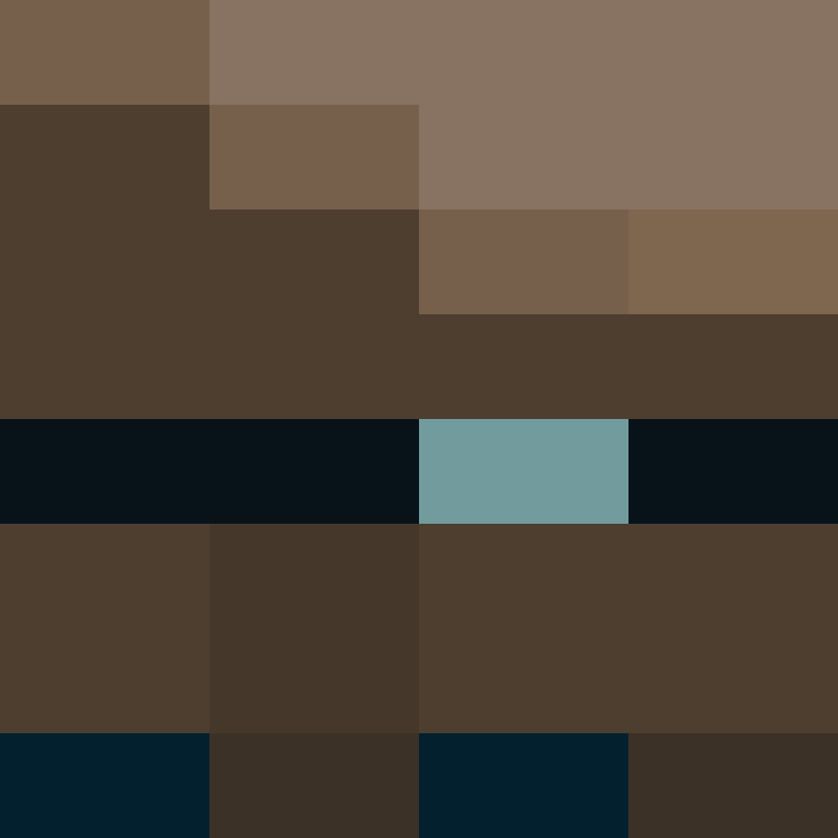 v4r1n's skin