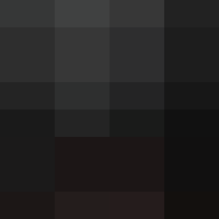 CeilingBird's skin