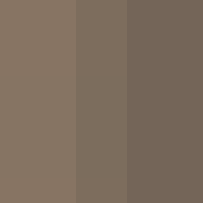 deminecrafterlol's skin