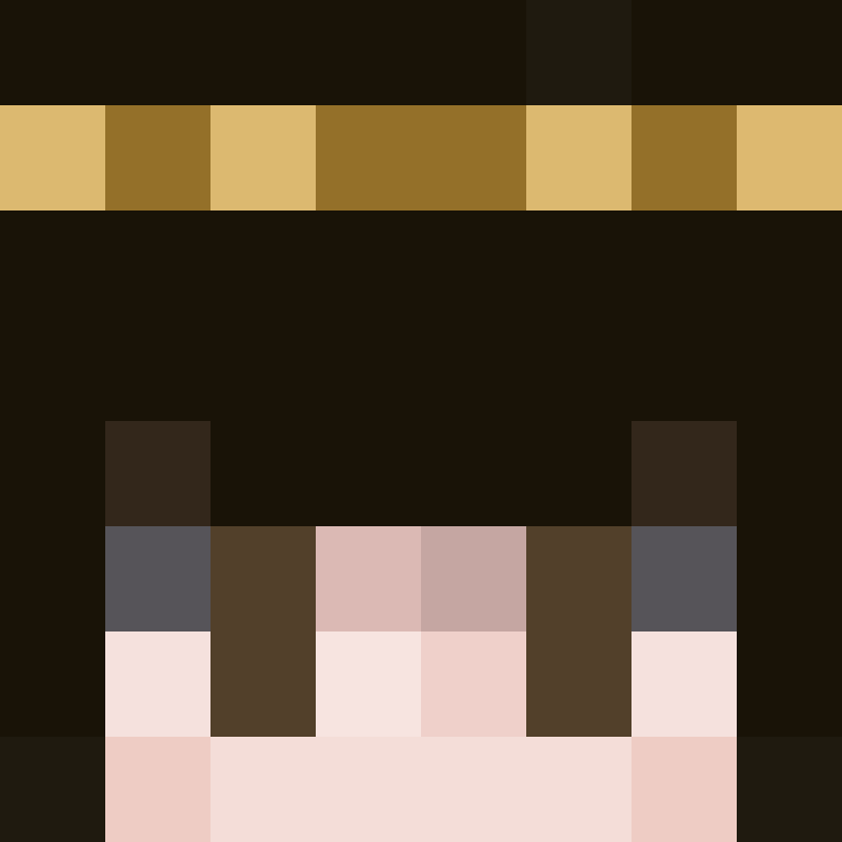 wiredframe's skin