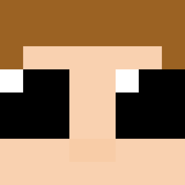 CeilingBird's skin