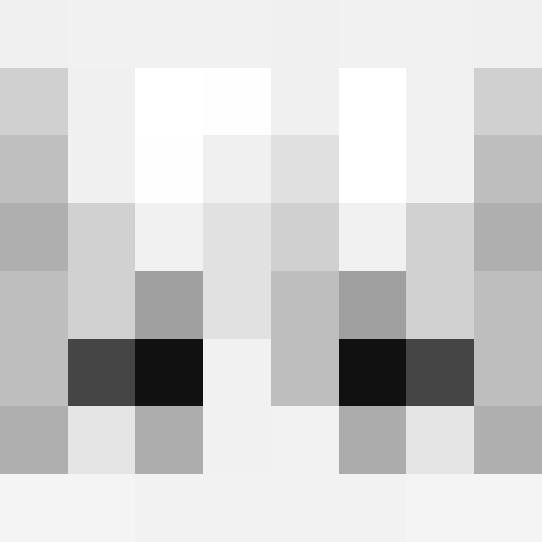 deminecrafterlol's skin