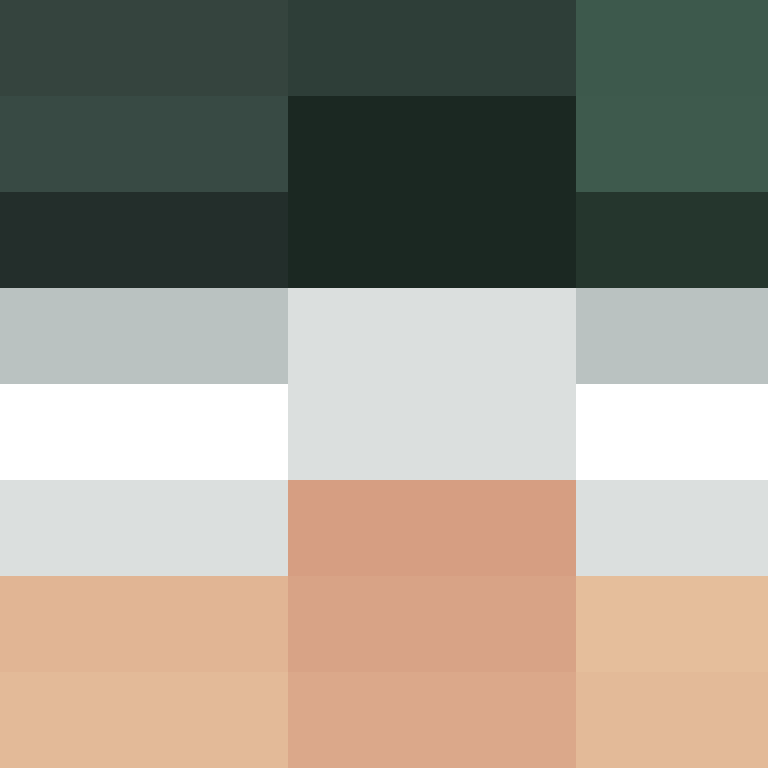 Fernand0al0ns0's skin