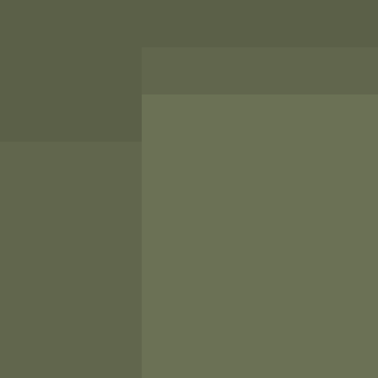 tusg's skin