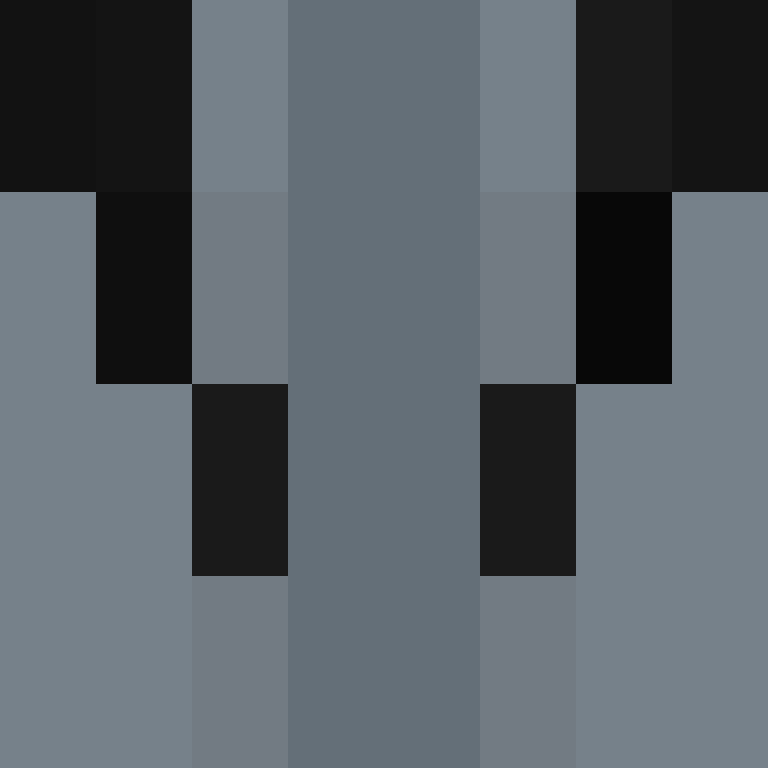 CeilingBird's skin