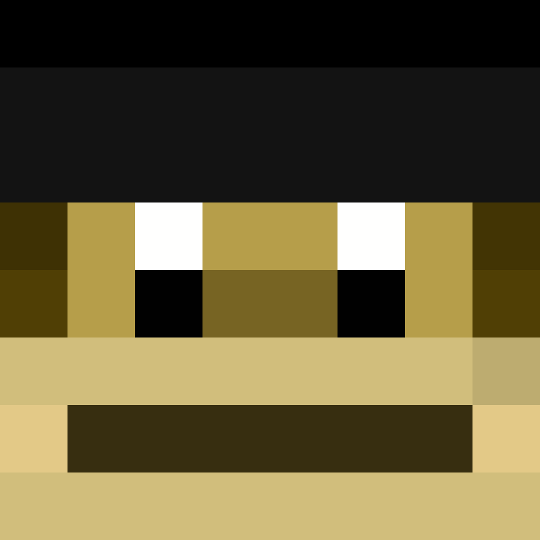 h4yl33's skin