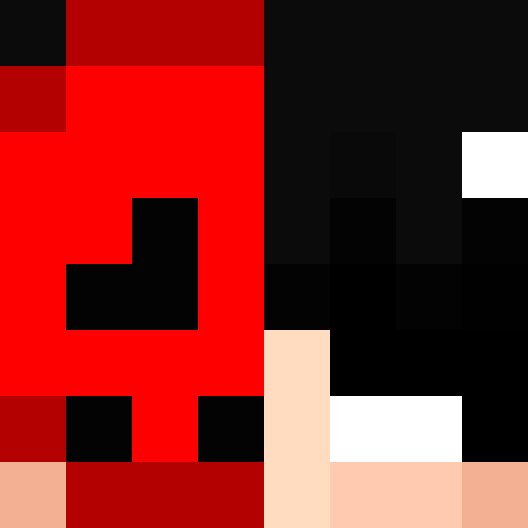 deminecrafterlol's skin