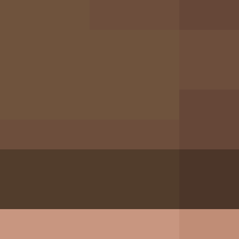 v4r1n's skin