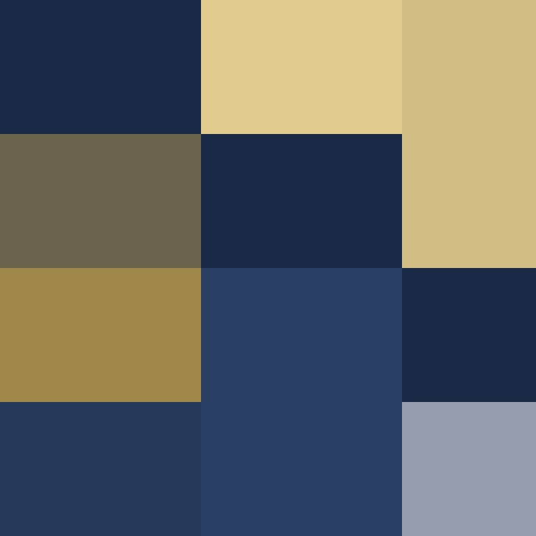 DargiV's skin
