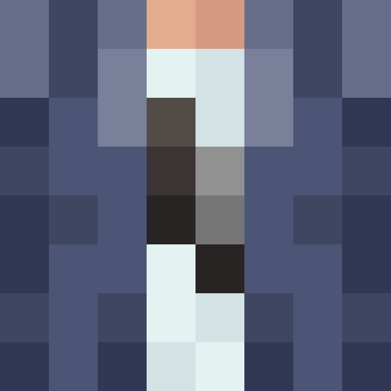 BukkitAPI's skin