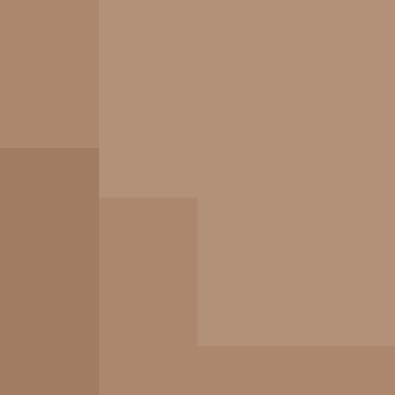 PtakopyskCZ's skin