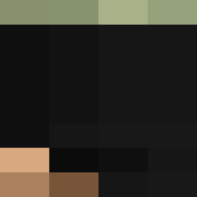 PtakopyskCZ's skin