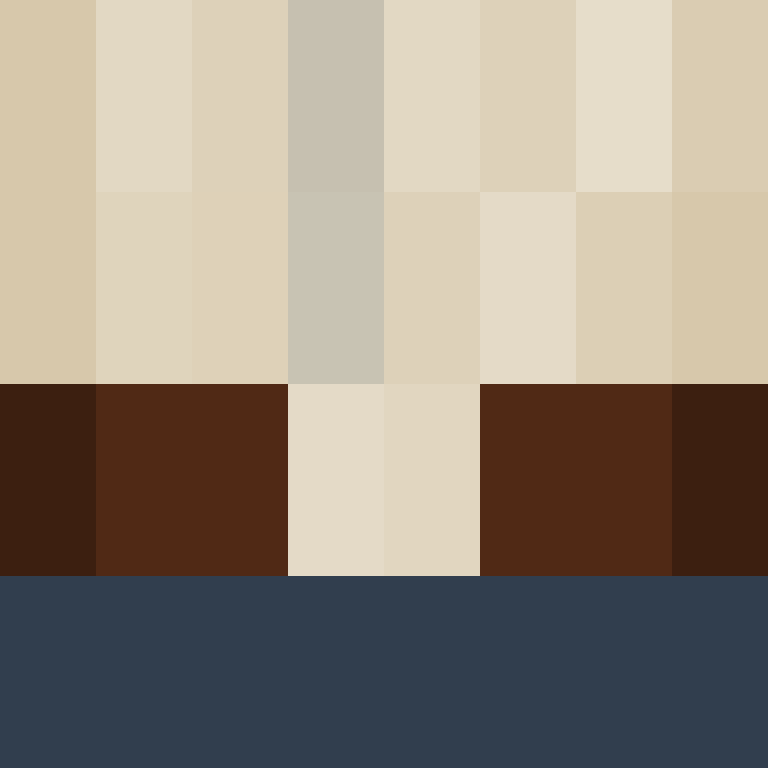 BukkitAPI's skin