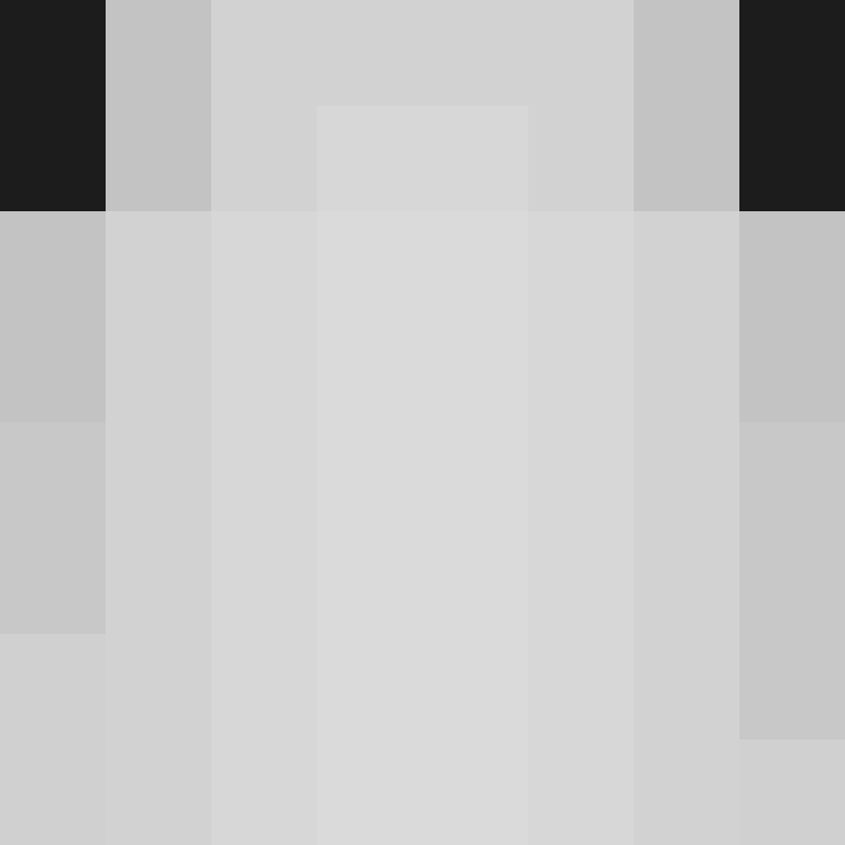 CeilingBird's skin