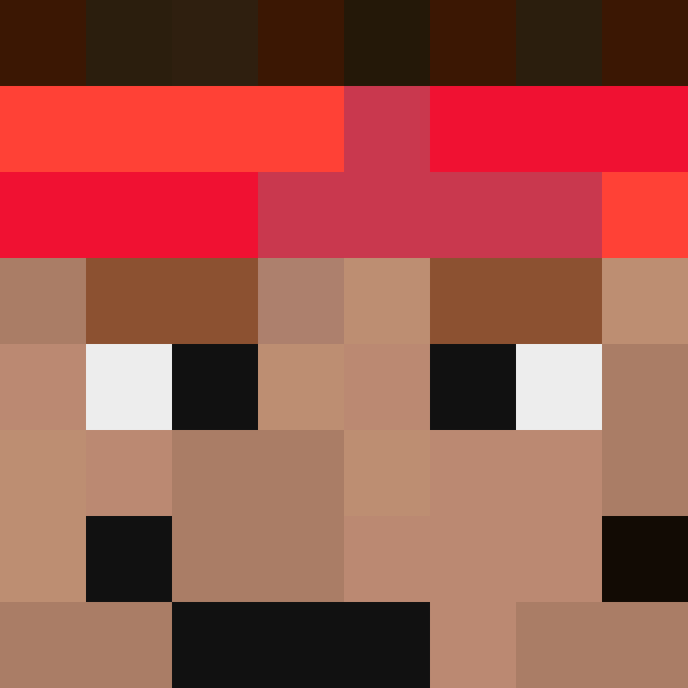BukkitAPI's skin