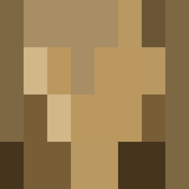 IAmSpadeFan's skin