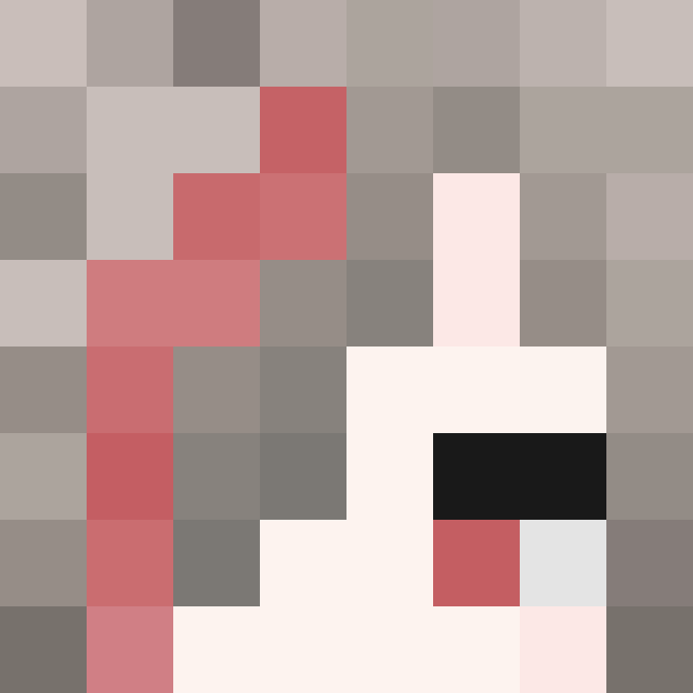 xX_No_Income_Xx's skin
