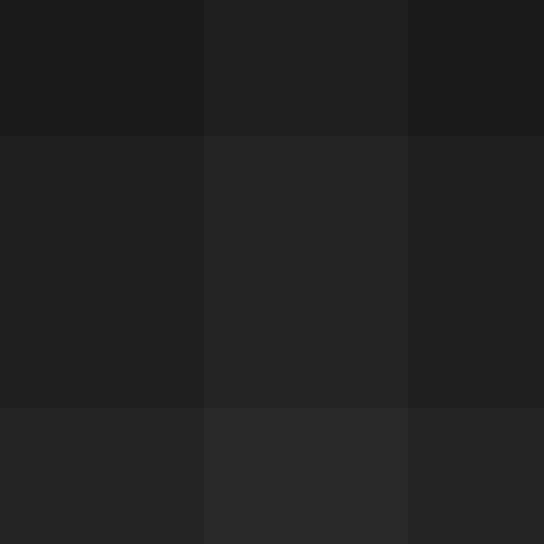 AutoSkin's skin