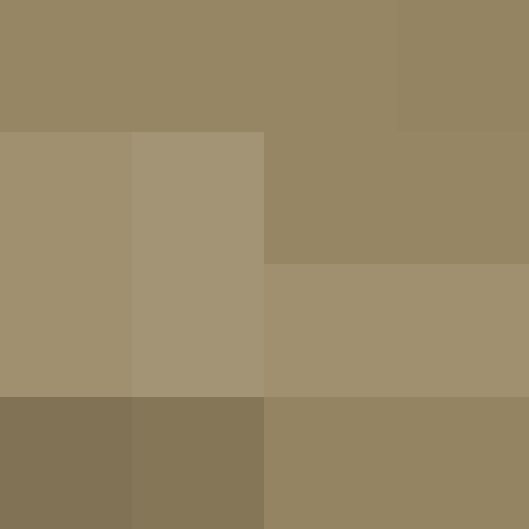 WebNX's skin