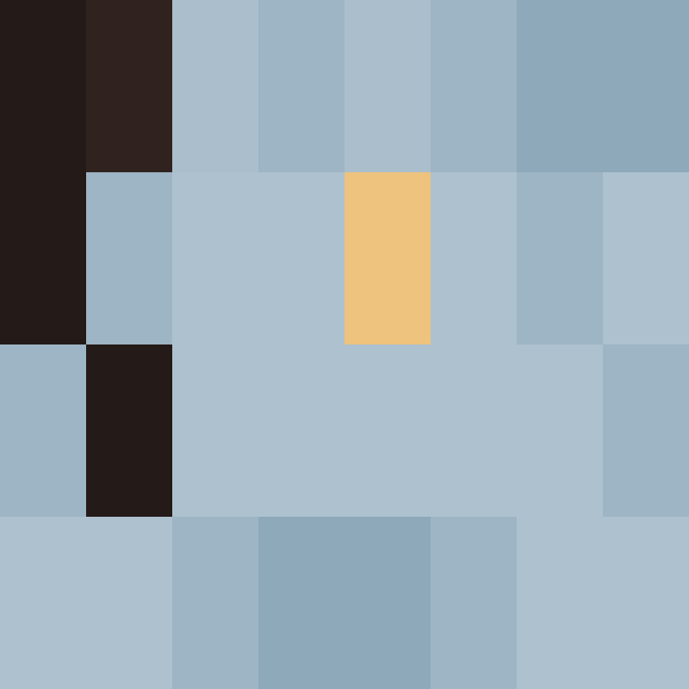 PtakopyskCZ's skin