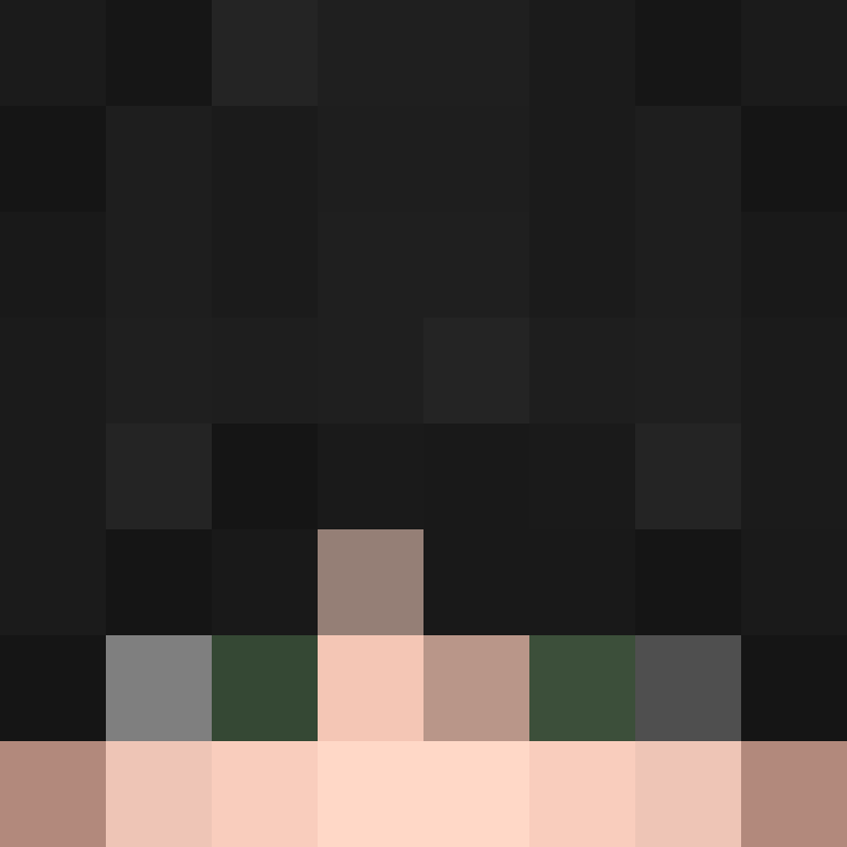 CeilingBird's skin
