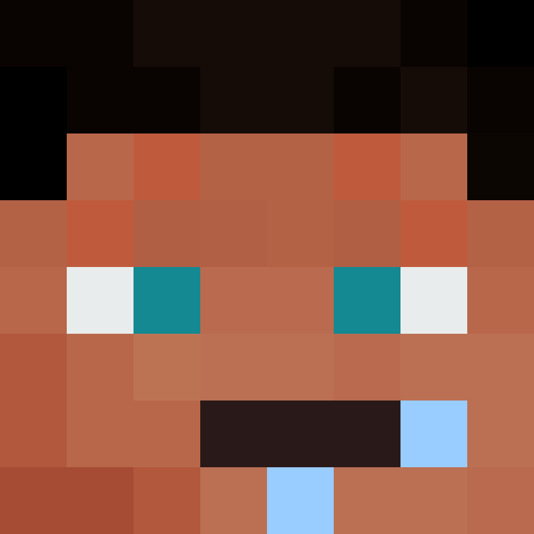 CeilingBird's skin