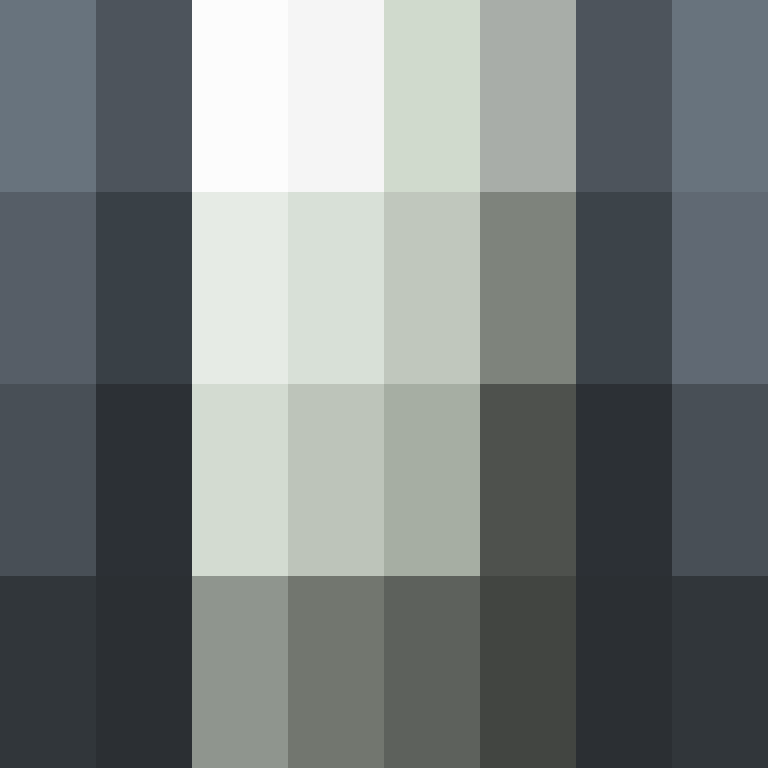 AutoSkin's skin