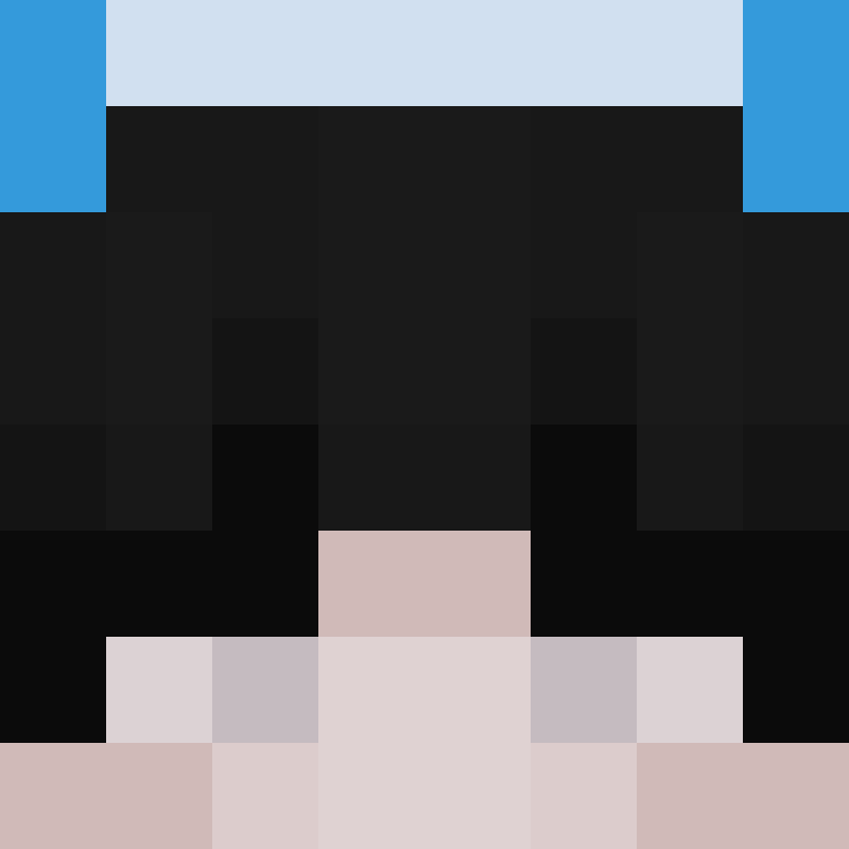 wiredframe's skin