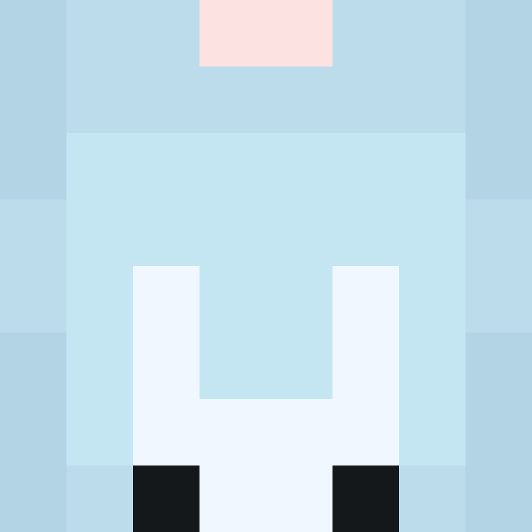 wiredframe's skin