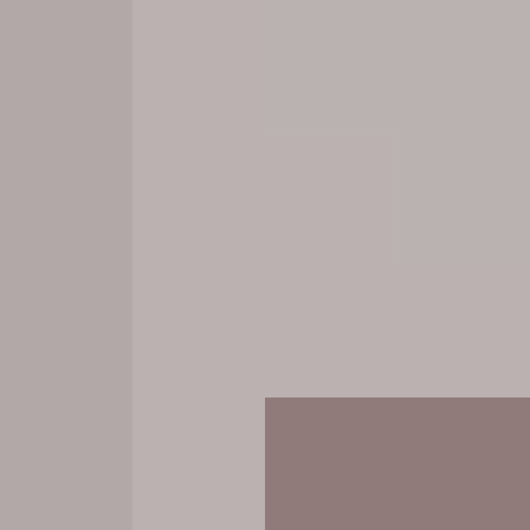 CeilingBird's skin