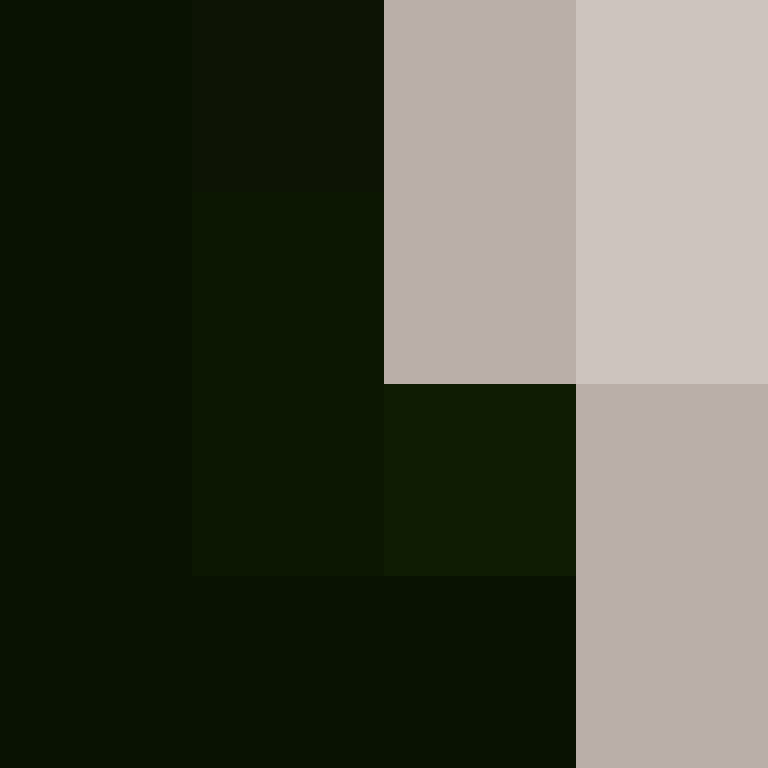Shar_d's skin