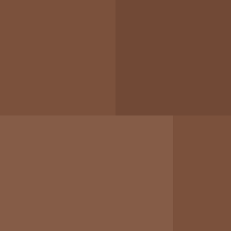 AutoSkin's skin