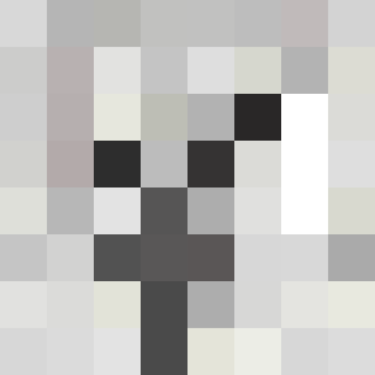 Cartizoll's skin