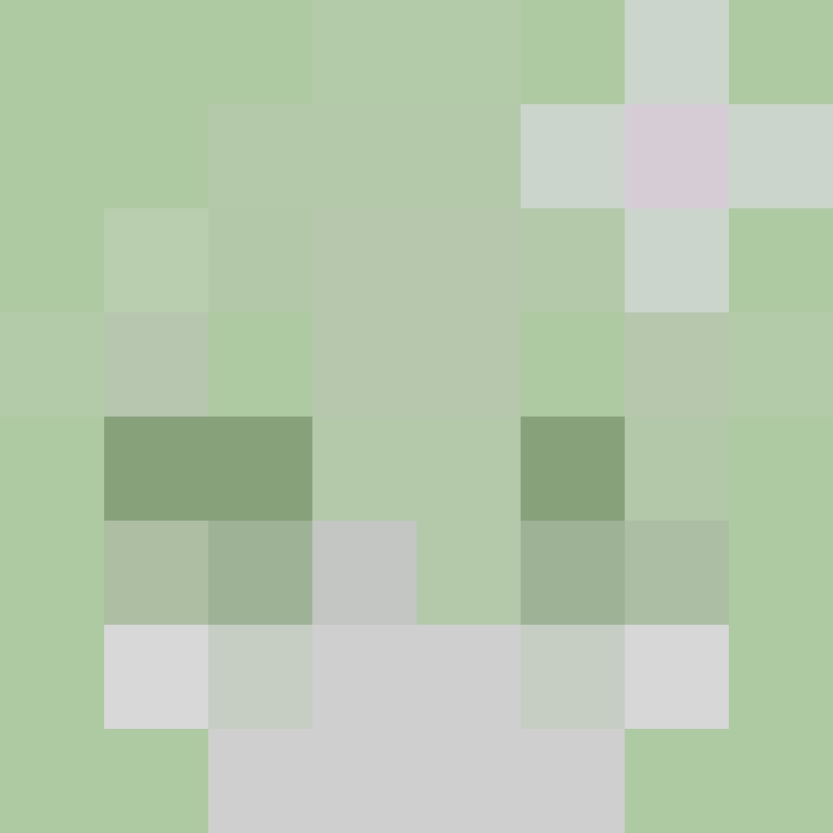 sureelmk_'s skin