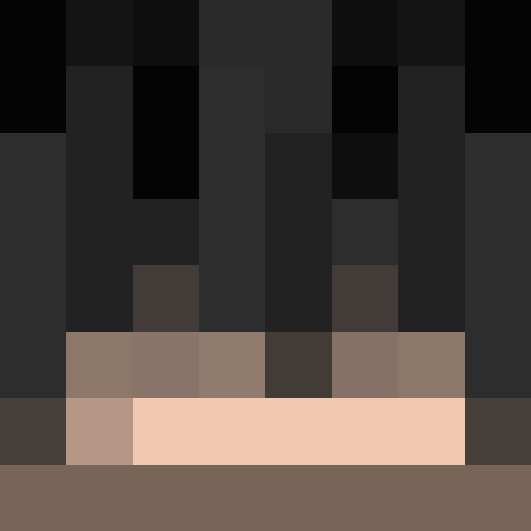 deminecrafterlol's skin