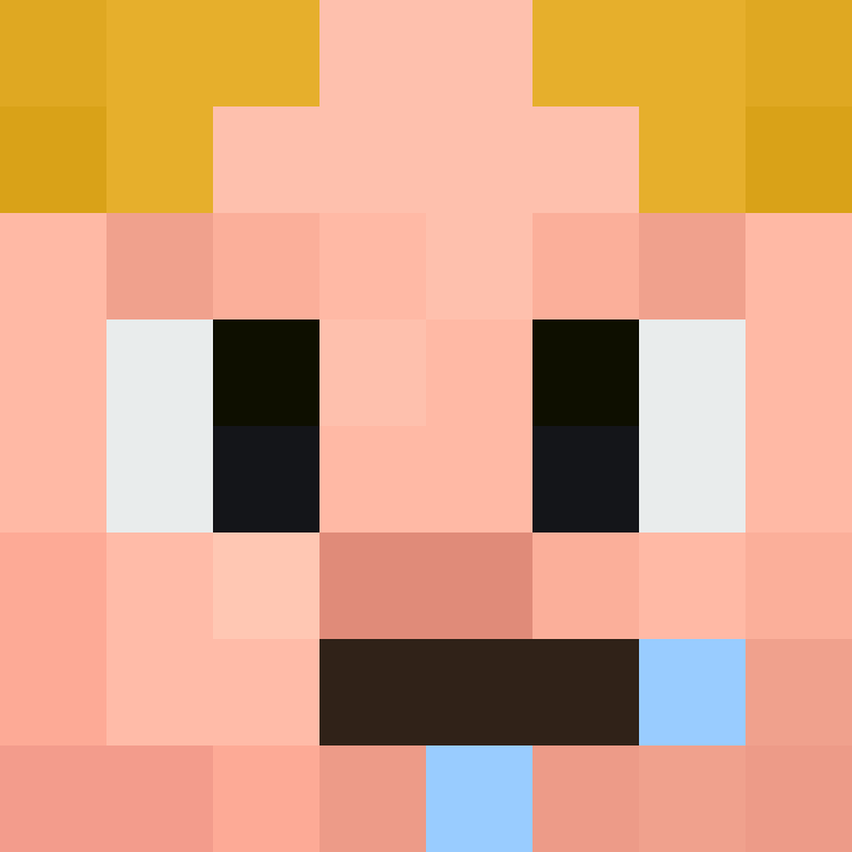 TheCuriousMiner's skin
